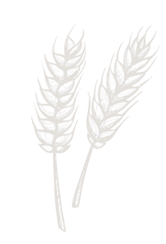 Section Background Element